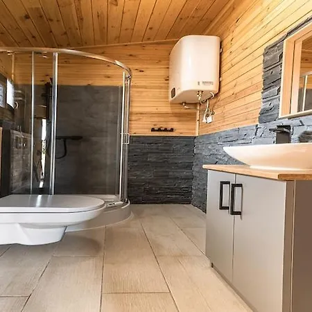 Wooden House In With *